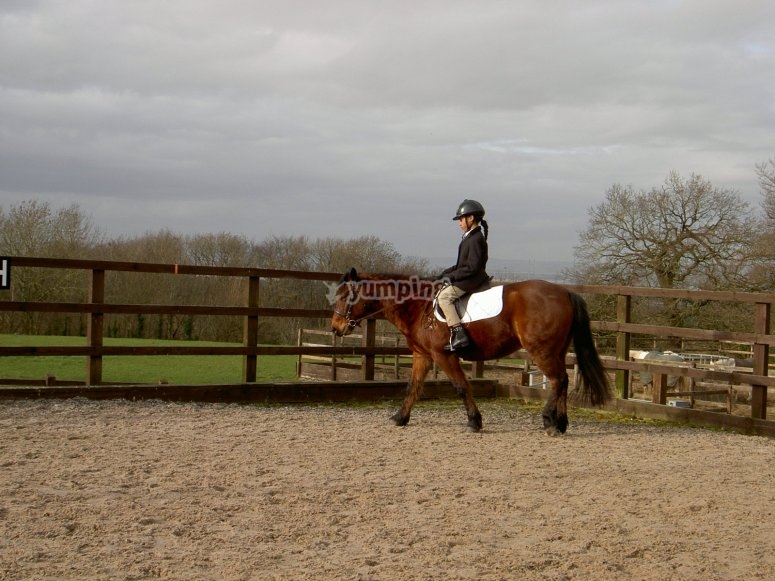 Avon Riding Centre, prices and bookings 2024